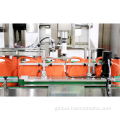 Used Liquid Filling Line Tracking type Capping Machine Supplier